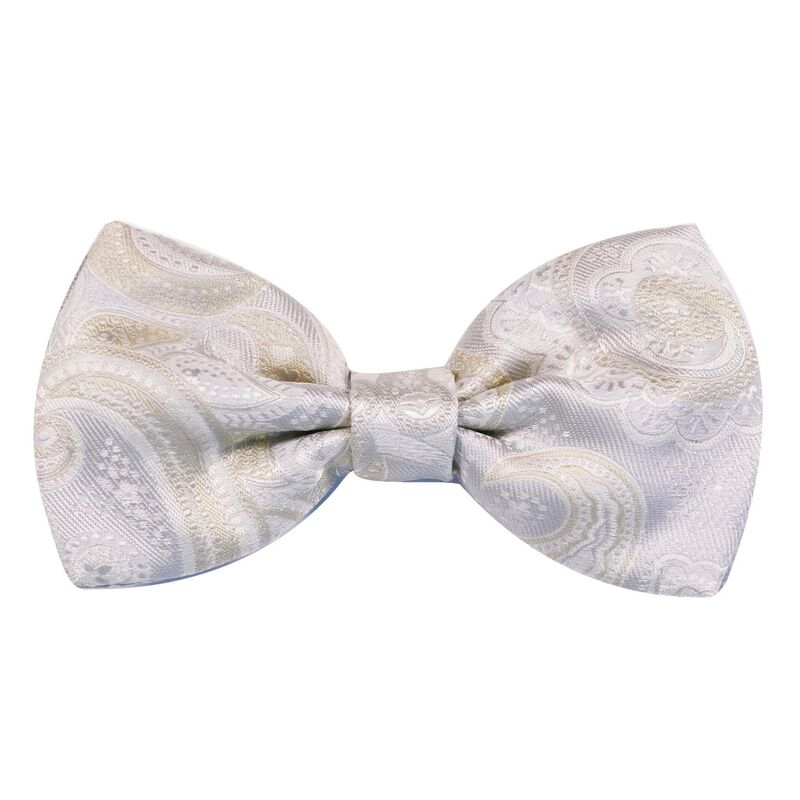 Fellini Luxe Paisley Bow Tie image number 0